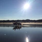 Review photo of Nehalem Bay State Park Campground by dario C., August 31, 2018