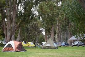 Leah P.'s photo at Nāmakanipaio Campground — Hawai'i Volcanoes National Park in Hawaii
