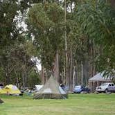Review photo of Nāmakanipaio Campground — Hawai'i Volcanoes National Park by Leah P., August 2, 2016