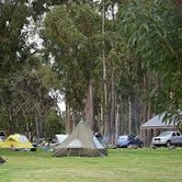 Review photo of Nāmakanipaio Campground — Hawai'i Volcanoes National Park by Leah P., August 2, 2016
