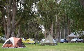 Leah P.'s photo at Nāmakanipaio Campground — Hawai'i Volcanoes National Park in Hawaii
