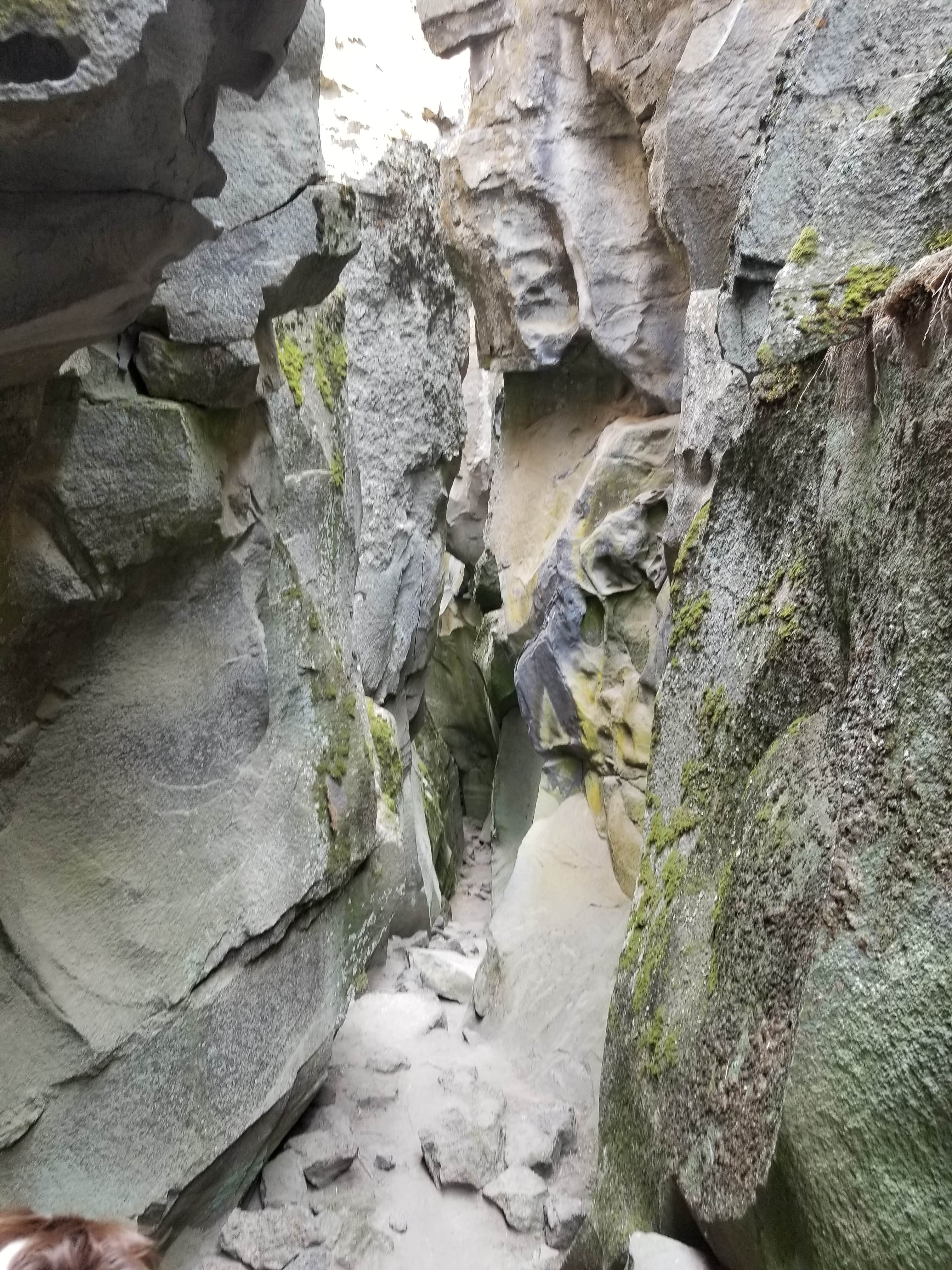 Camper-submitted photo at Crack-In-The-Ground near Christmas Valley, OR