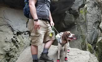 Nicolaus N.'s photo of camping with pets at Crack-In-The-Ground near Fort Rock, OR