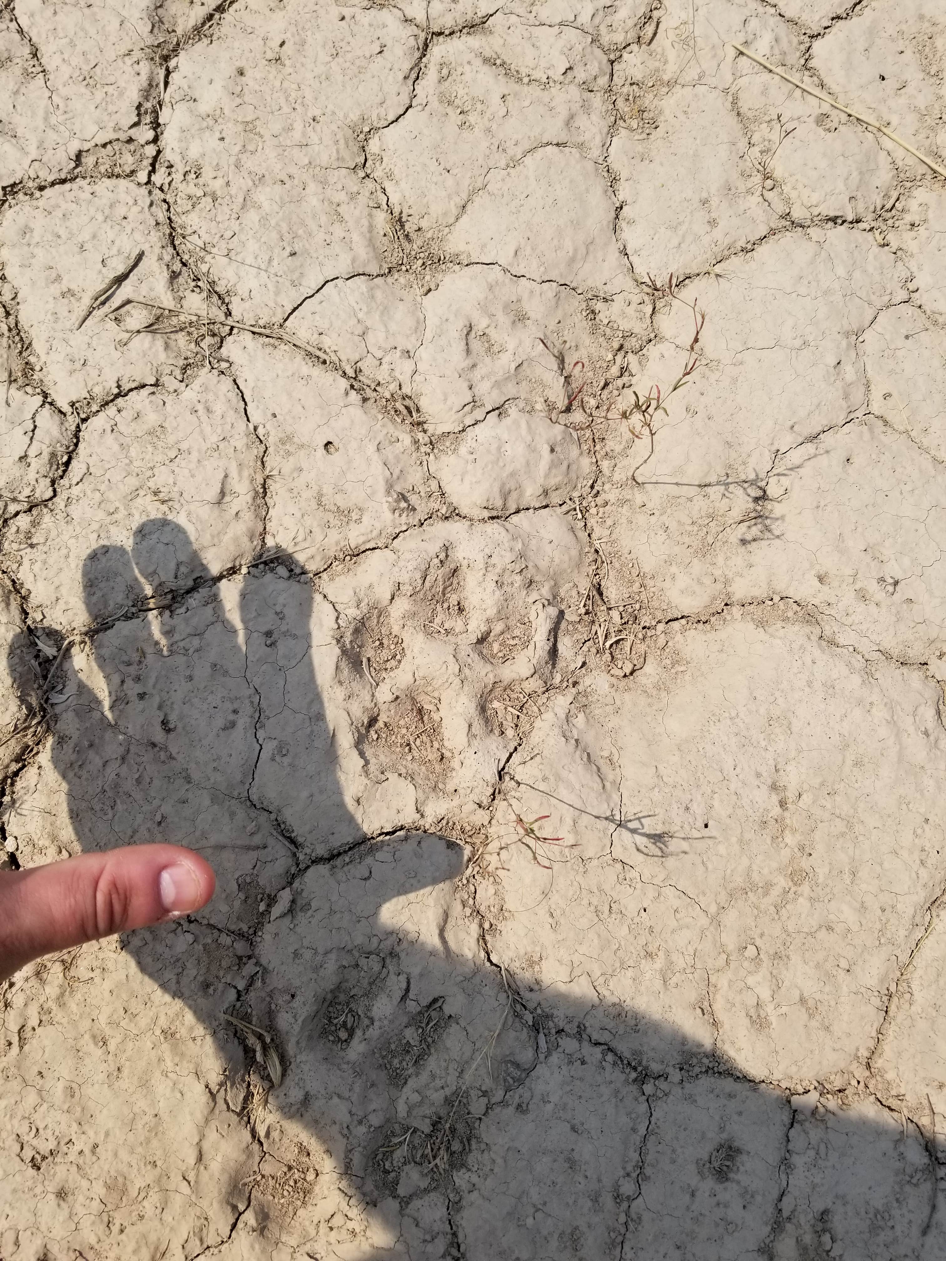 Camper-submitted photo at Crack-In-The-Ground near Christmas Valley, OR