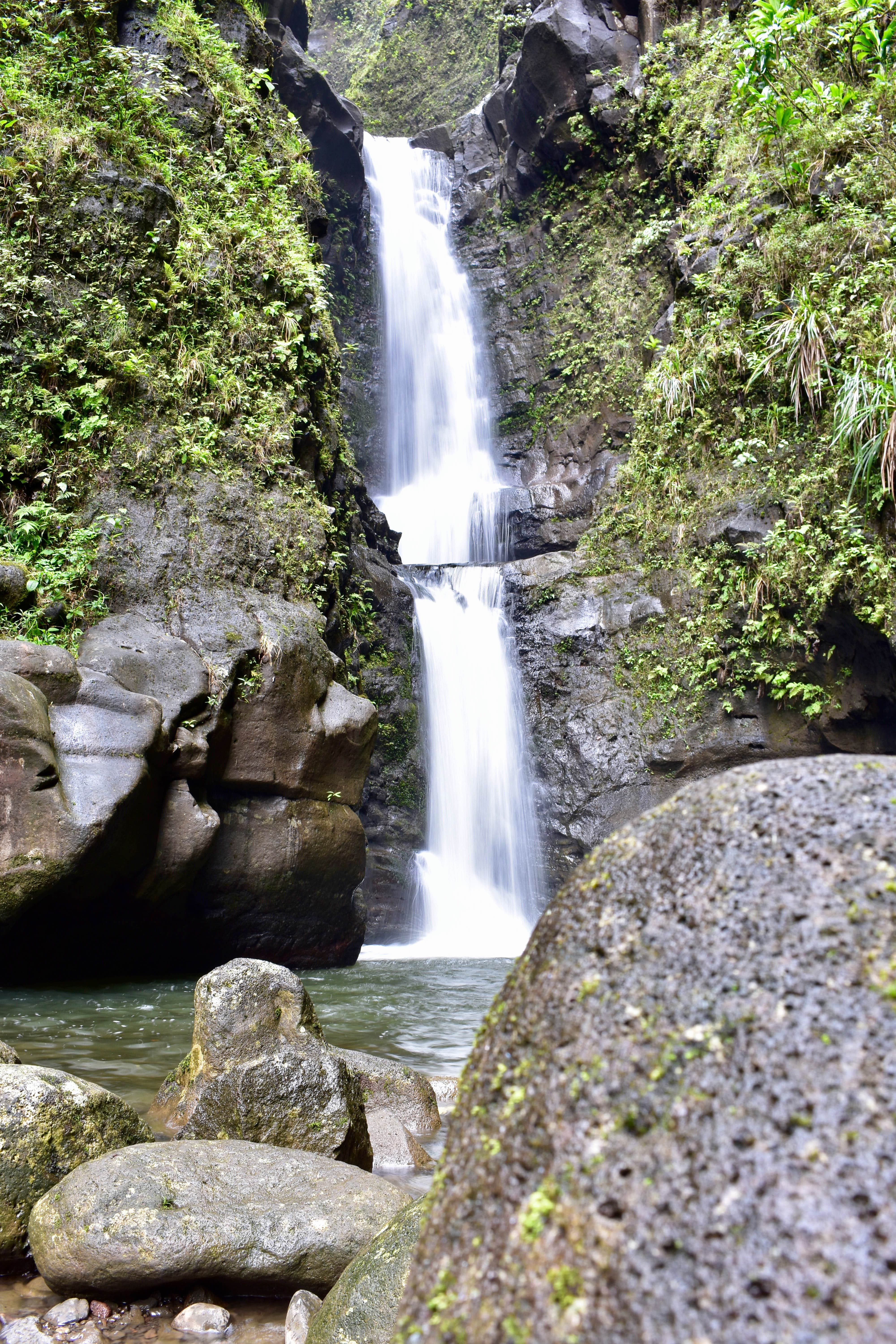 Camper submitted image from Polipoli Spring State Recreation Area Camping - 1