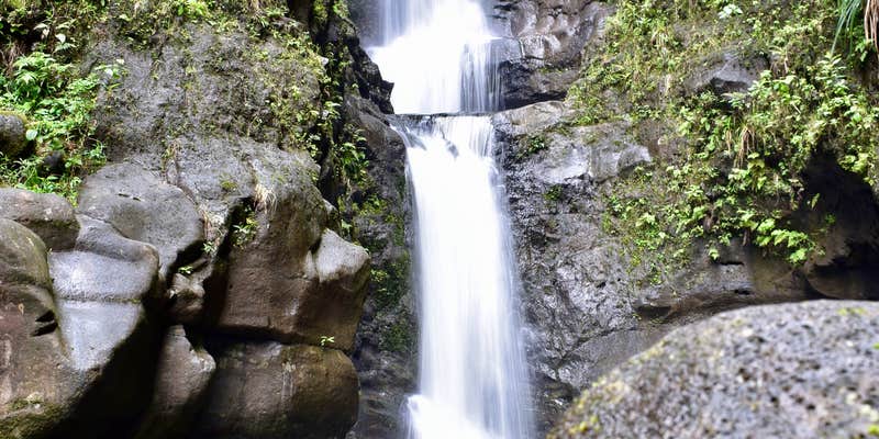 Camper submitted image from Polipoli Spring State Recreation Area Camping