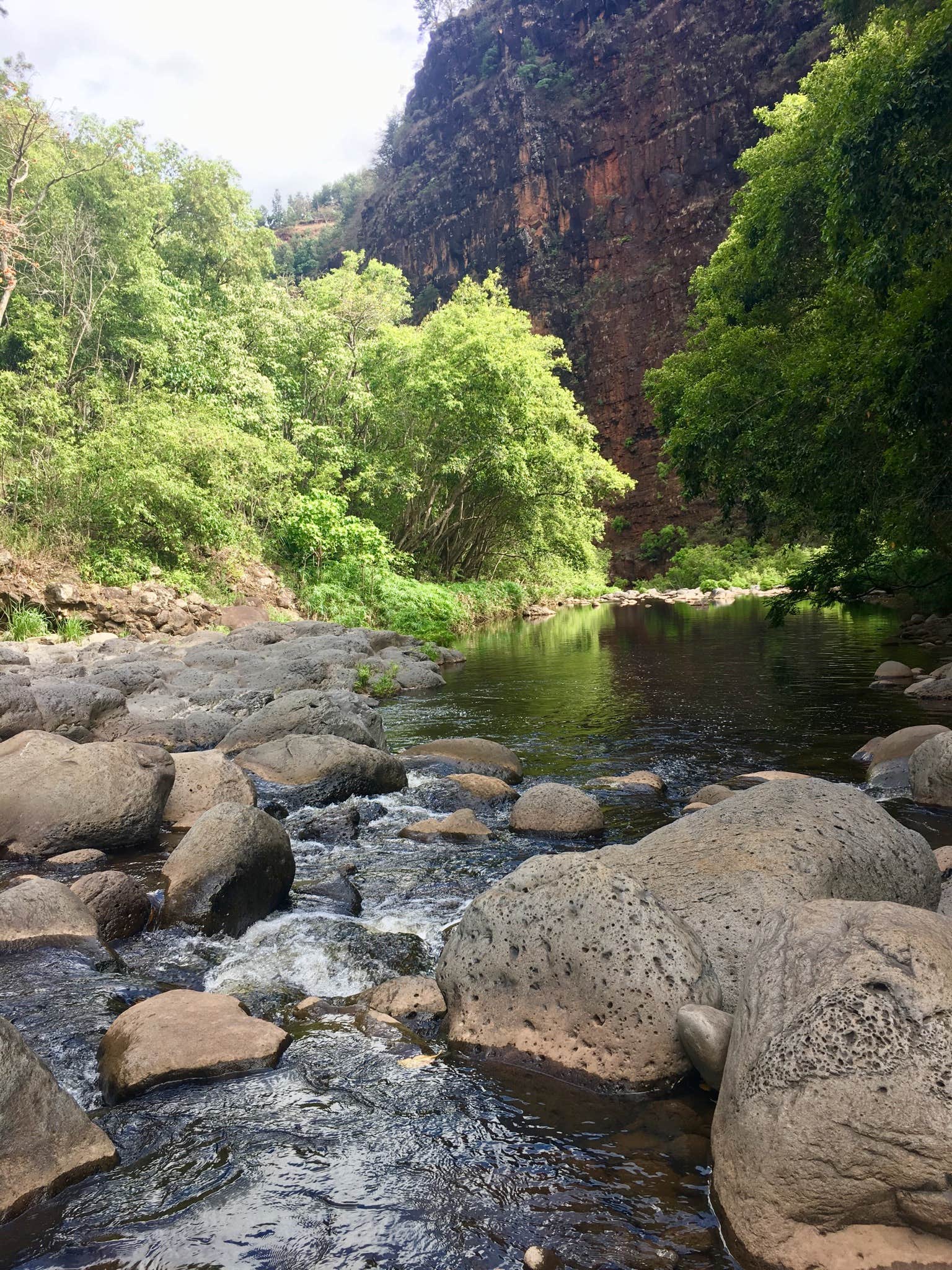 Camper-submitted photo at Wiliwili Camp in Hawaii