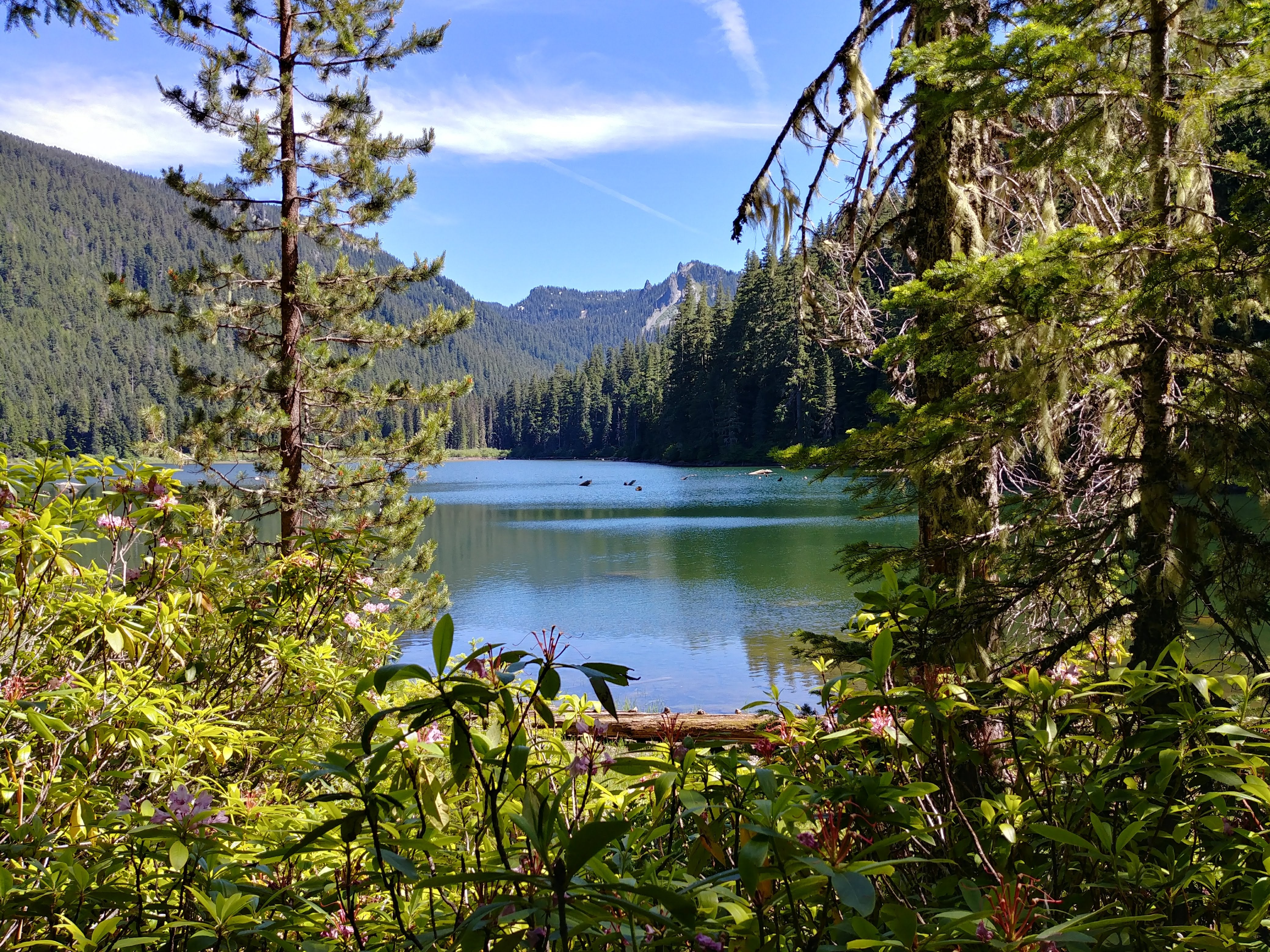 Camper submitted image from Pamelia Lake - 2