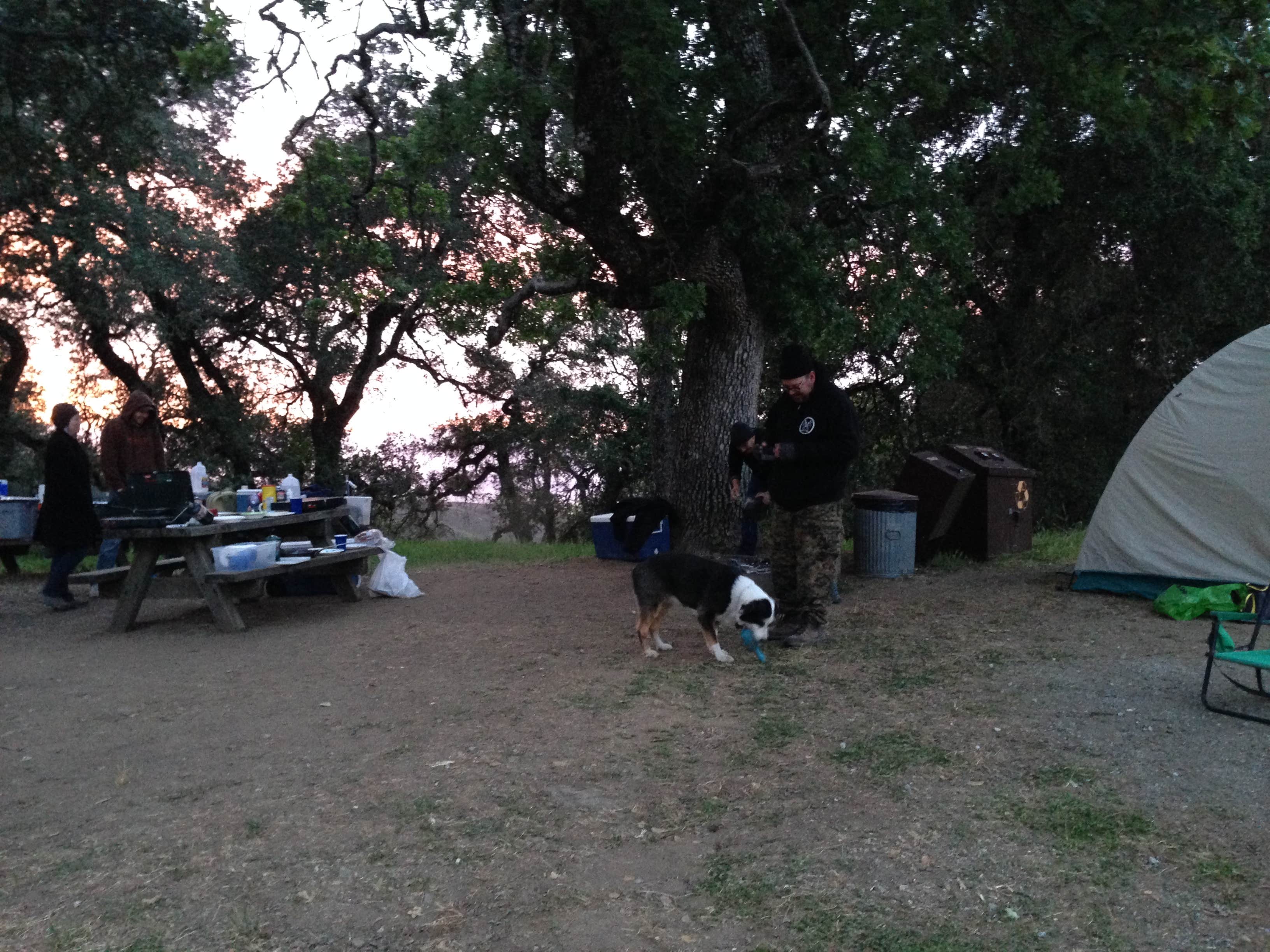 Renee W.'s photo at Oak Point Campground — Fremont Peak State Park near Hollister, CA
