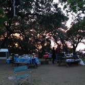 Review photo of Oak Point Campground — Fremont Peak State Park by Renee W., August 31, 2018