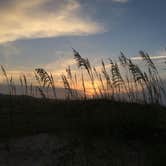 Review photo of Ocracoke Campground — Cape Hatteras National Seashore by Jason M., August 31, 2018