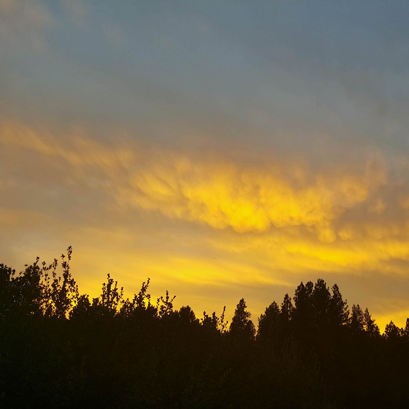 Macks Creek Park Camping The Dyrt