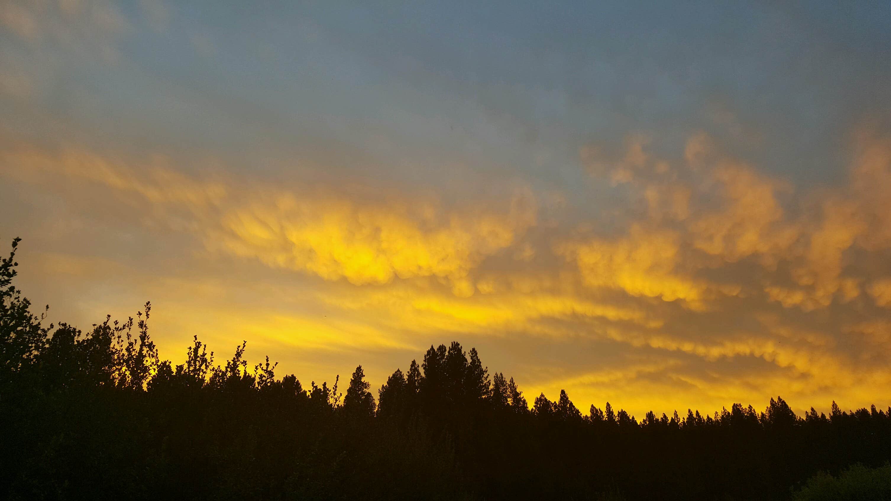 Camper submitted image from Macks Creek Park - 2