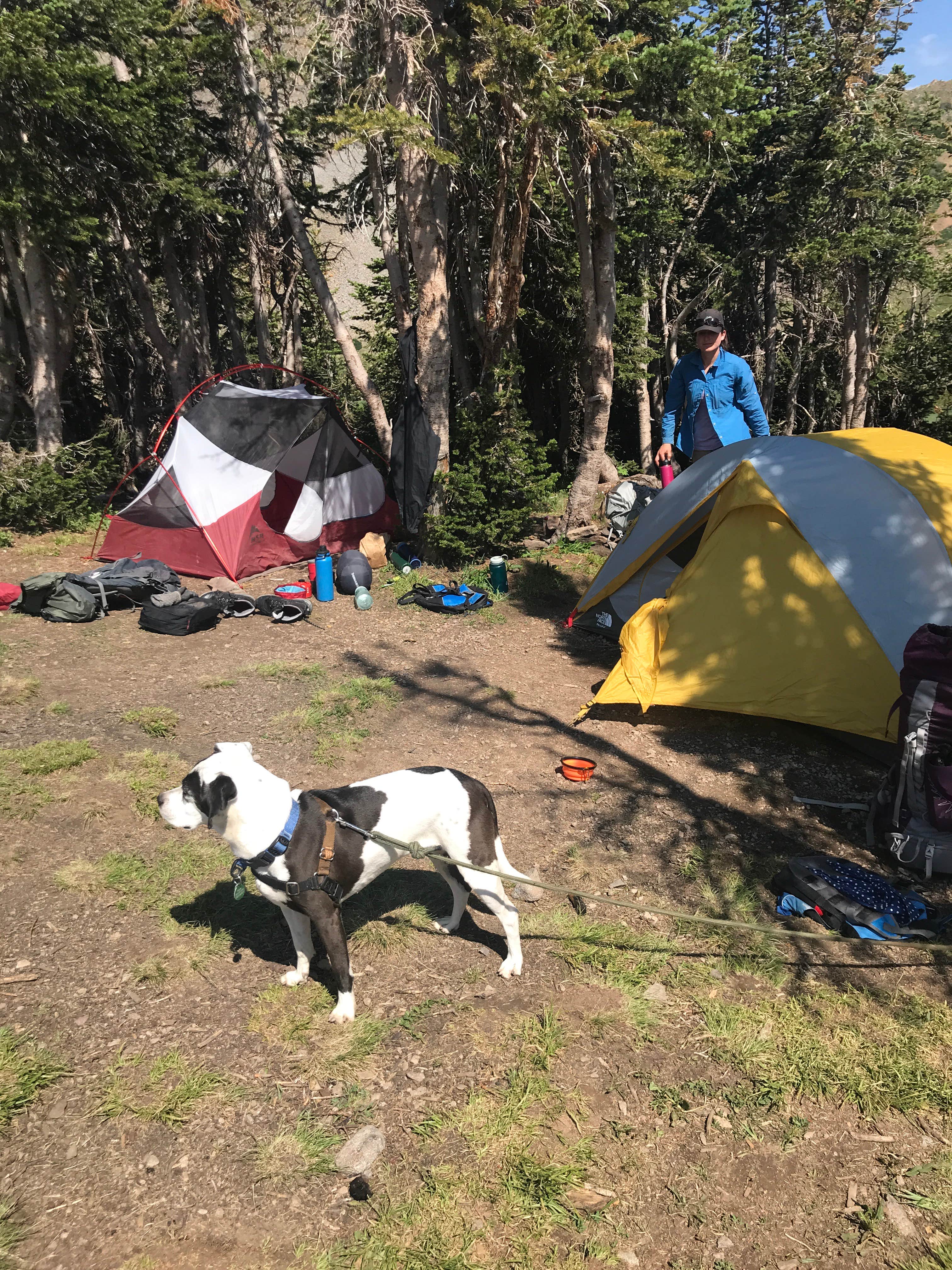 Isabelle K.'s photo at Primitive Sites — State Forest State Park near Gould, CO