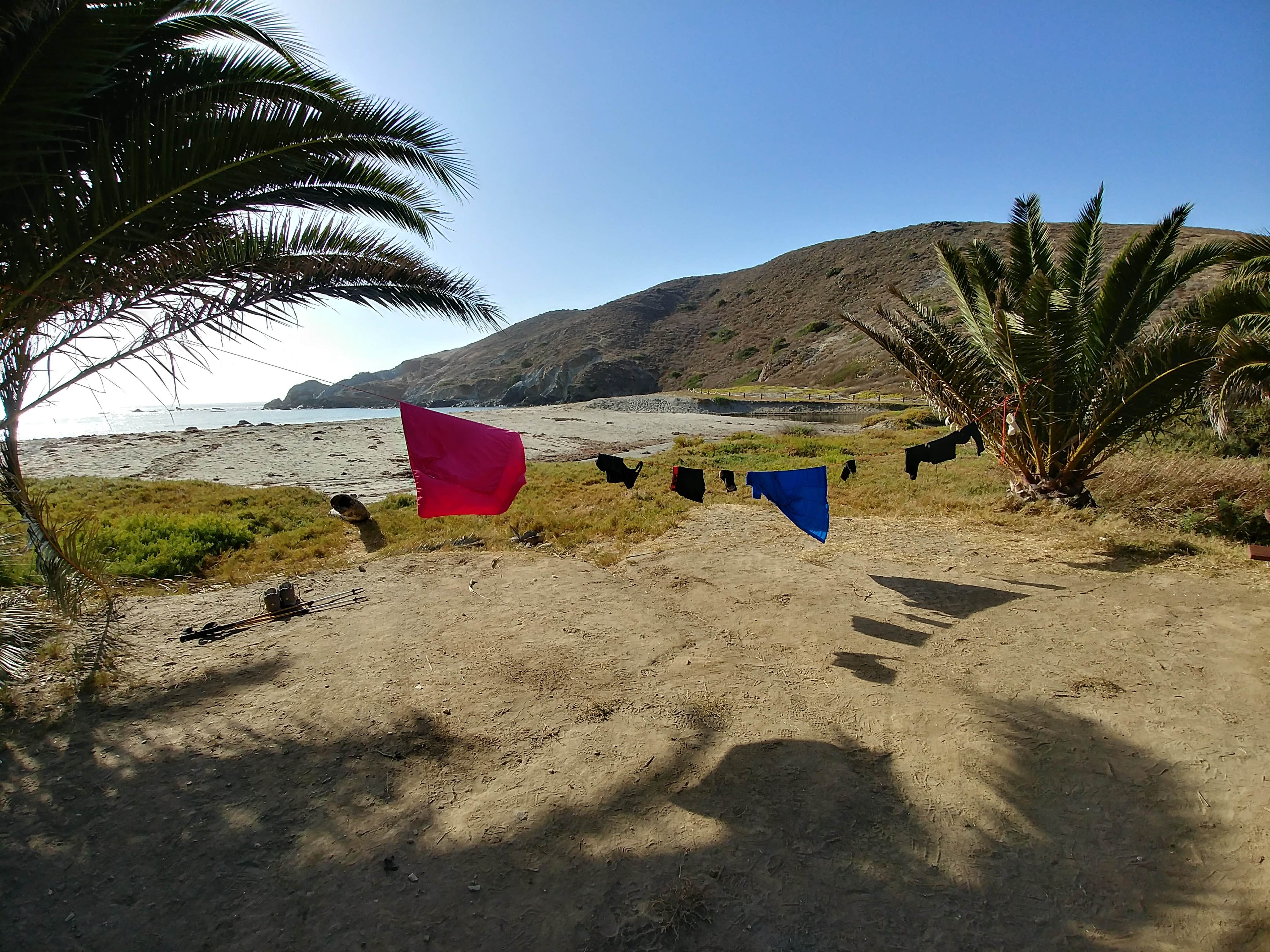 Mandy E.'s photo of tent camping at Little Harbor Campground near Sunset Beach, CA