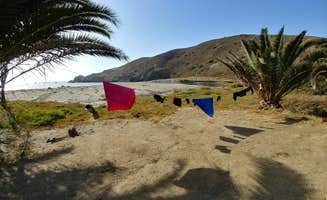 Mandy E.'s photo of tent camping at Little Harbor Campground near Palos Verdes Peninsula, CA