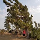 Review photo of Hole-in-the-Ground at Fort Rock by Nicolaus N., August 31, 2018