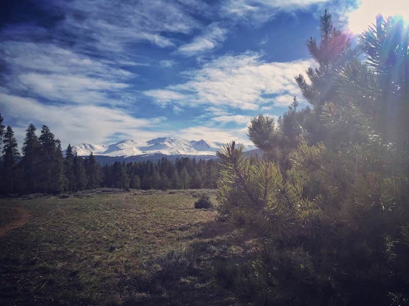 Camper submitted image from Sugarloaf Campground - 2