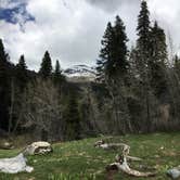 Review photo of Cold Springs Campground — Sequoia National Park by Jill F., August 31, 2018