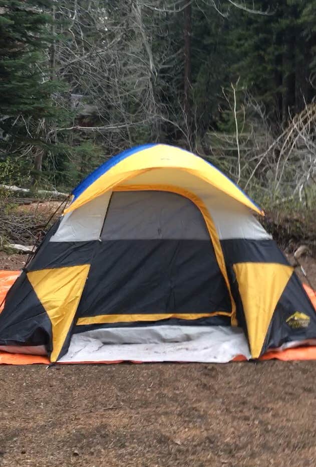 Jill F.'s photo of tent camping at Cold Springs Campground — Sequoia National Park near Olancha, CA