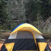 Review photo of Cold Springs Campground — Sequoia National Park by Jill F., August 31, 2018