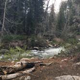 Review photo of Cold Springs Campground — Sequoia National Park by Jill F., August 31, 2018