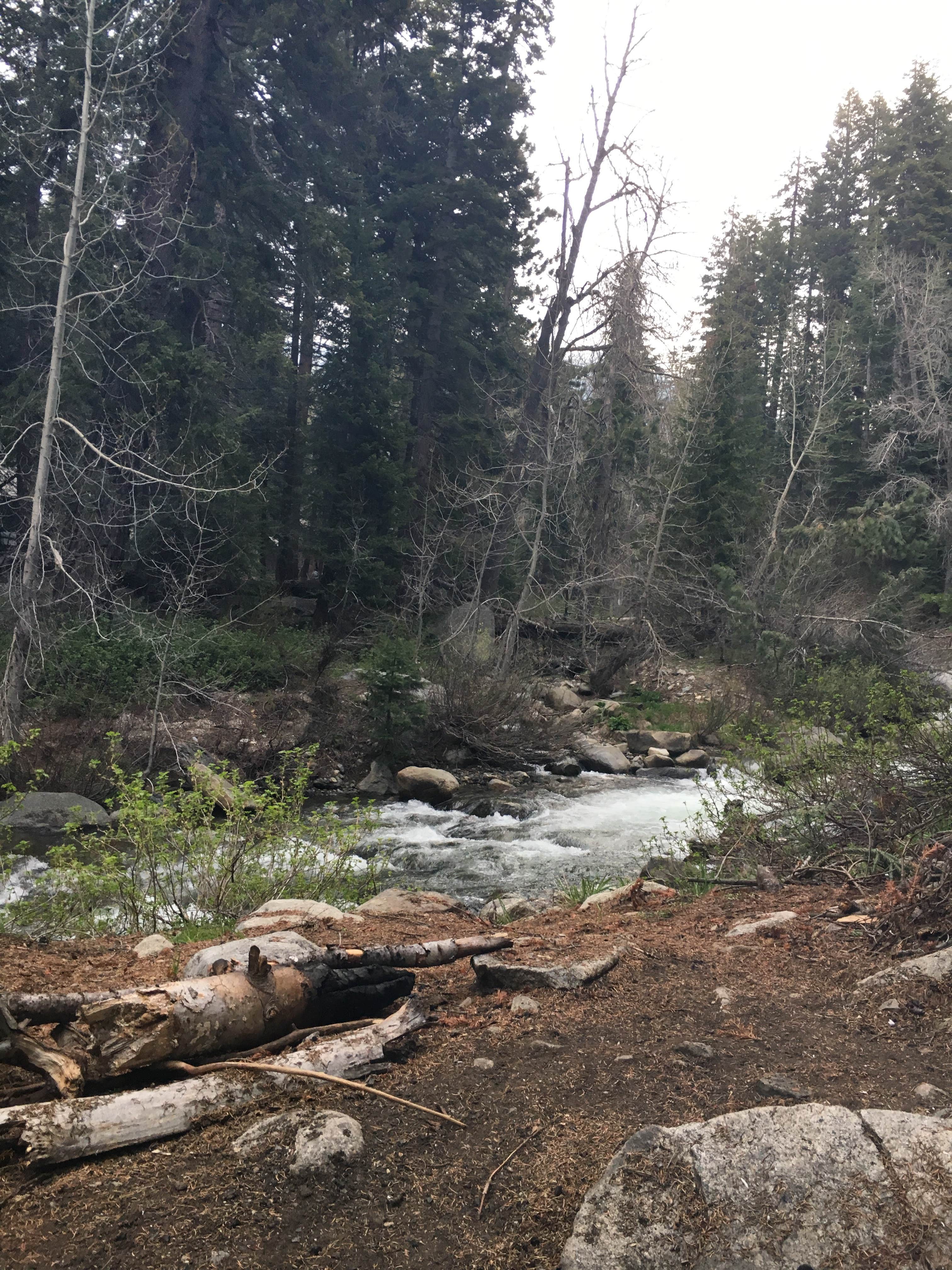 A nice example of a river camp site