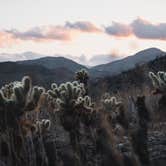 Review photo of Tamarisk Grove Campground — Anza-Borrego Desert State Park by Trip Over Life , May 28, 2018