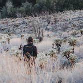 Review photo of Tamarisk Grove Campground — Anza-Borrego Desert State Park by Trip Over Life , May 28, 2018