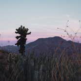 Review photo of Tamarisk Grove Campground — Anza-Borrego Desert State Park by Trip Over Life , May 28, 2018