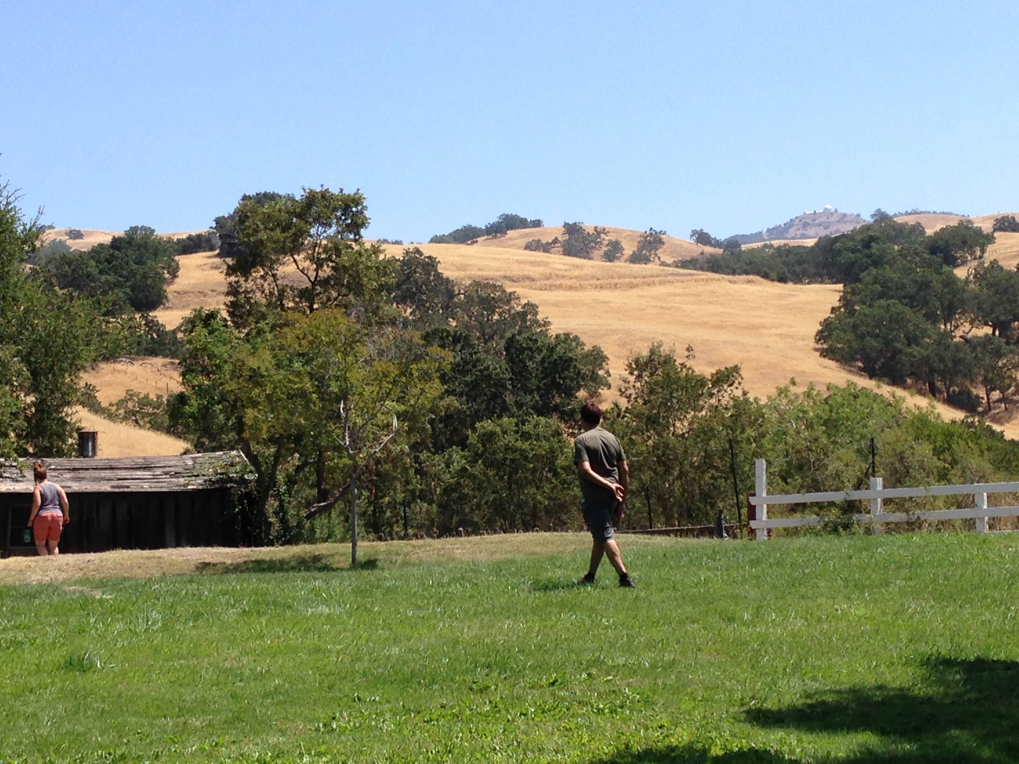 Mount madonna valley view #1 / 33 valley view #2 / 21 valley view #3 / 25 tan oak / 21 Joseph D Grant County Park Horse Camp The Dyrt