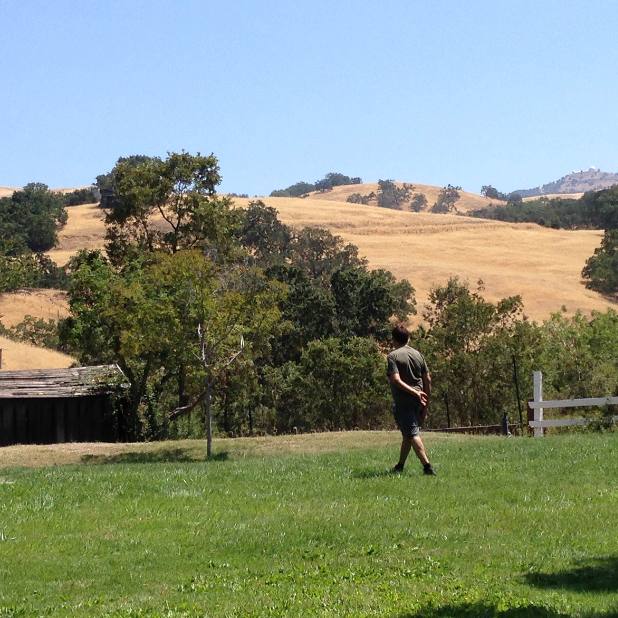 Mount madonna valley view #1 / 33 valley view #2 / 21 valley view #3 / 25 tan oak / 21 Joseph D Grant County Park Horse Camp The Dyrt