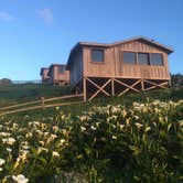 Review photo of Steep Ravine Campground — Mount Tamalpais State Park by Adam , August 31, 2018