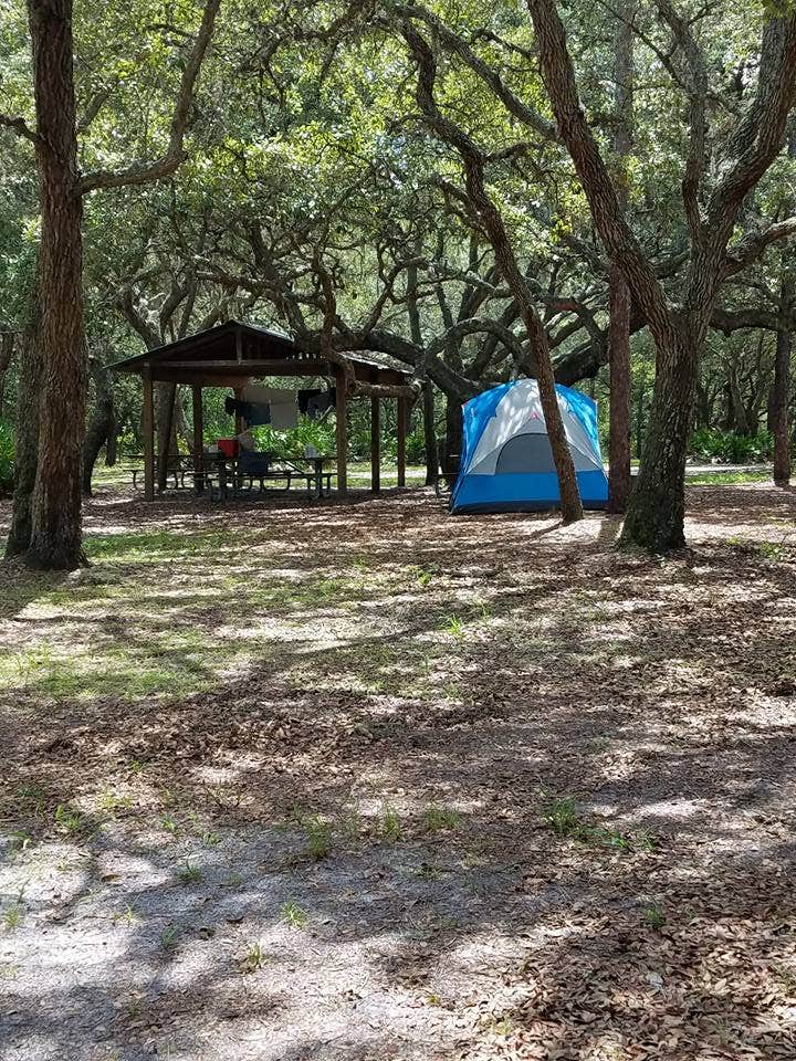 Steve S.'s photo at Serenova Tract Campsites near Odessa, FL