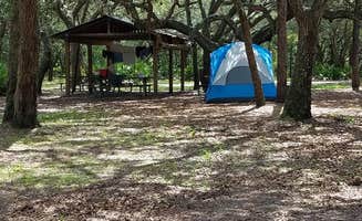 Steve S.'s photo at Serenova Tract Campsites near Oldsmar, FL