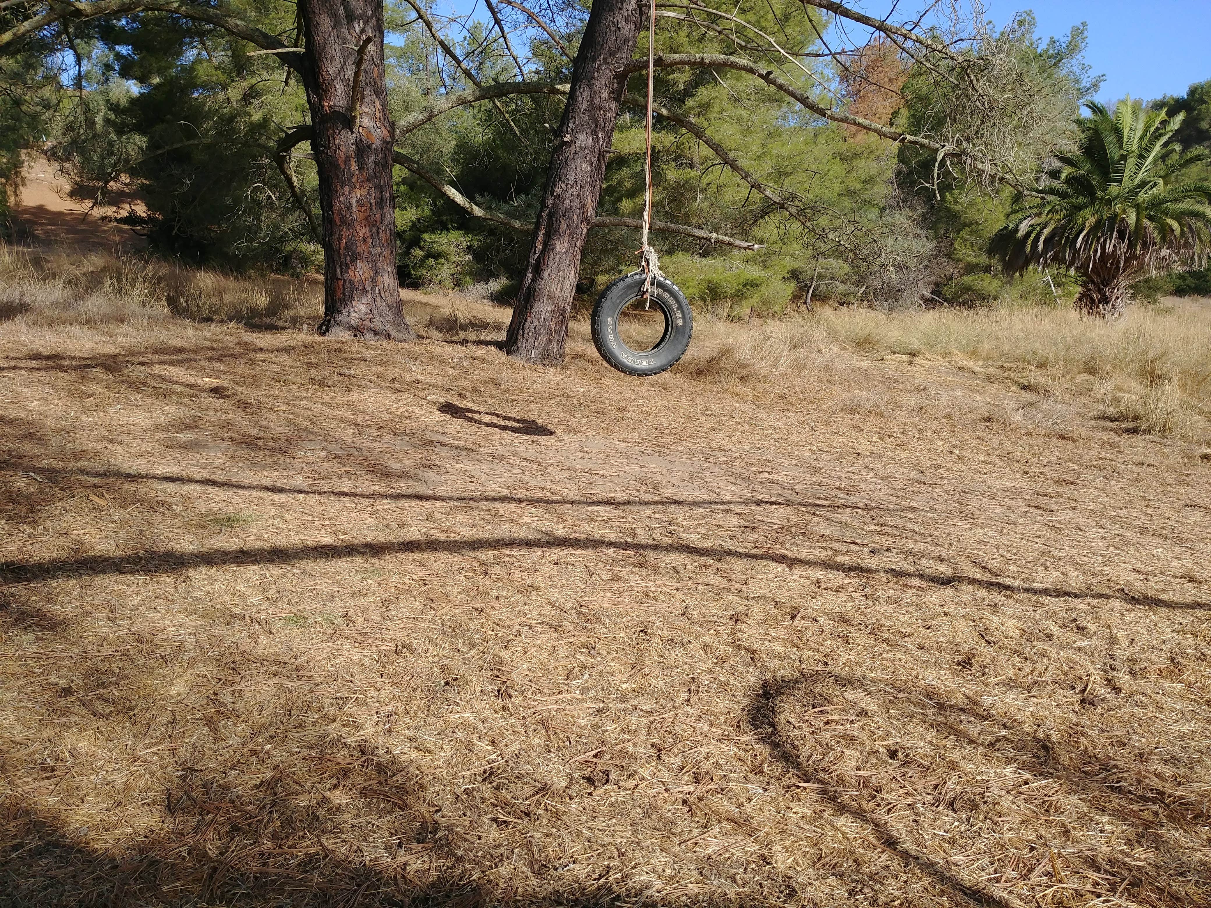 Camper-submitted photo at Black Jack Campground near Sunset Beach, CA