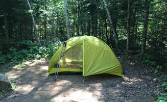 Matt S.'s photo at McCargoe Cove Campground — Isle Royale National Park near Isle Royale National Park