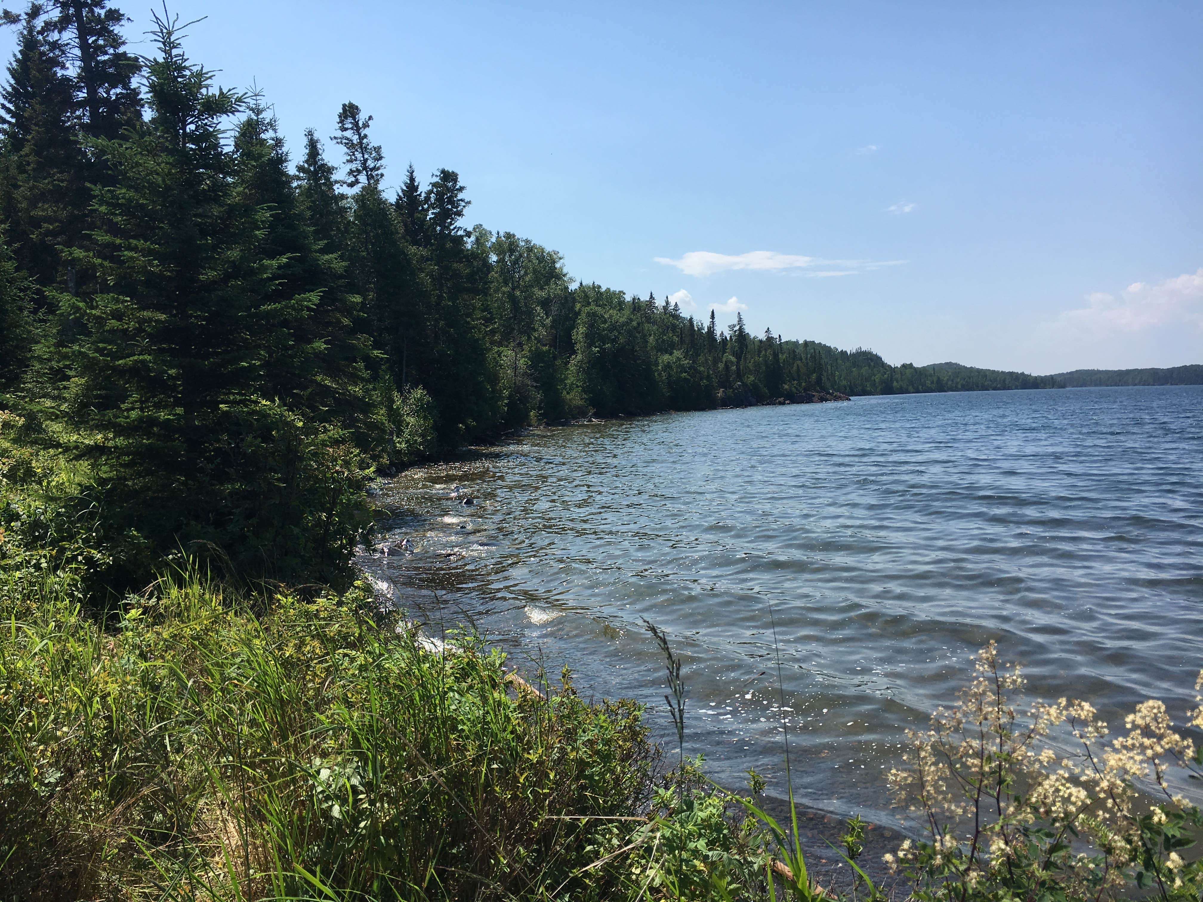 Camper submitted image from Todd Harbor Campground — Isle Royale National Park - 2