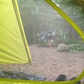 Review photo of Todd Harbor Campground — Isle Royale National Park by Matt S., August 31, 2018