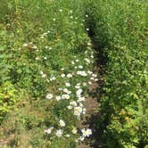 Review photo of Todd Harbor Campground — Isle Royale National Park by Matt S., August 31, 2018