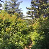 Review photo of Todd Harbor Campground — Isle Royale National Park by Matt S., August 31, 2018