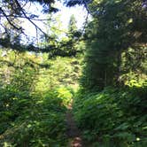 Review photo of Todd Harbor Campground — Isle Royale National Park by Matt S., August 31, 2018