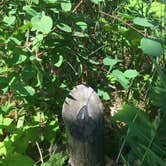 Review photo of Todd Harbor Campground — Isle Royale National Park by Matt S., August 31, 2018