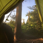 Review photo of Todd Harbor Campground — Isle Royale National Park by Matt S., August 31, 2018