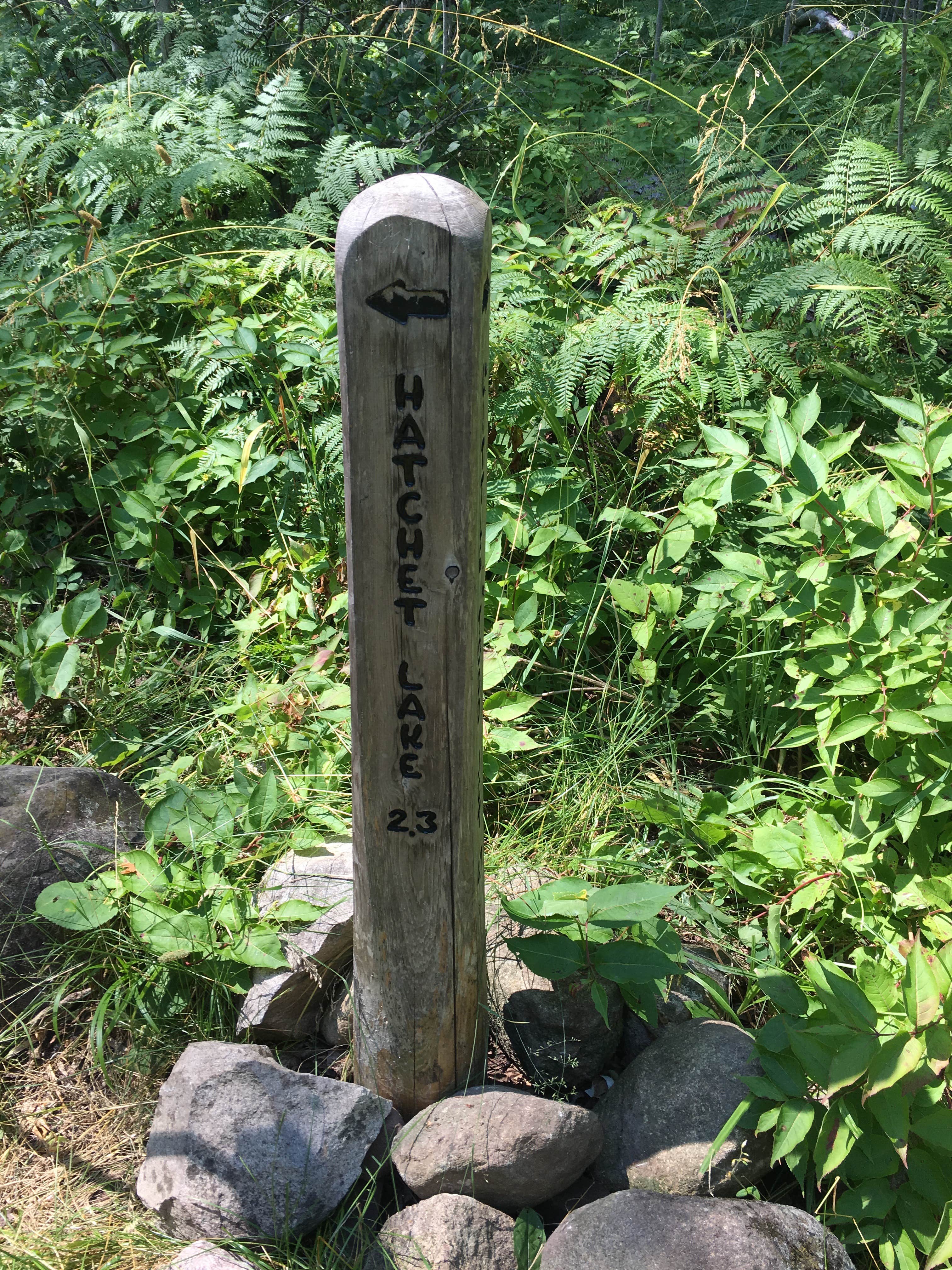 Camper submitted image from Hatchet Lake Campground — Isle Royale National Park - 2