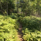 Review photo of Hatchet Lake Campground — Isle Royale National Park by Matt S., August 31, 2018