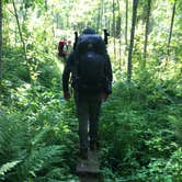 Review photo of Hatchet Lake Campground — Isle Royale National Park by Matt S., August 31, 2018