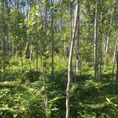 Review photo of Hatchet Lake Campground — Isle Royale National Park by Matt S., August 31, 2018