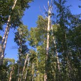 Review photo of Hatchet Lake Campground — Isle Royale National Park by Matt S., August 31, 2018