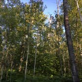 Review photo of Hatchet Lake Campground — Isle Royale National Park by Matt S., August 31, 2018